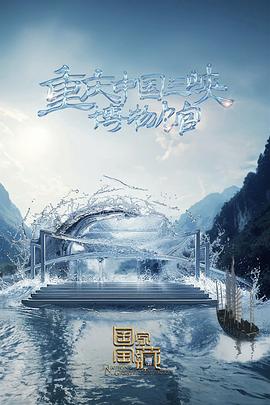 闪电精灵seo是什么